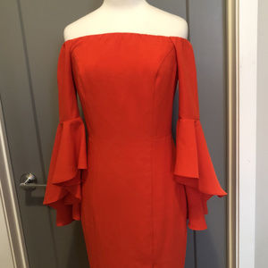 Long trumpet sleeve dress